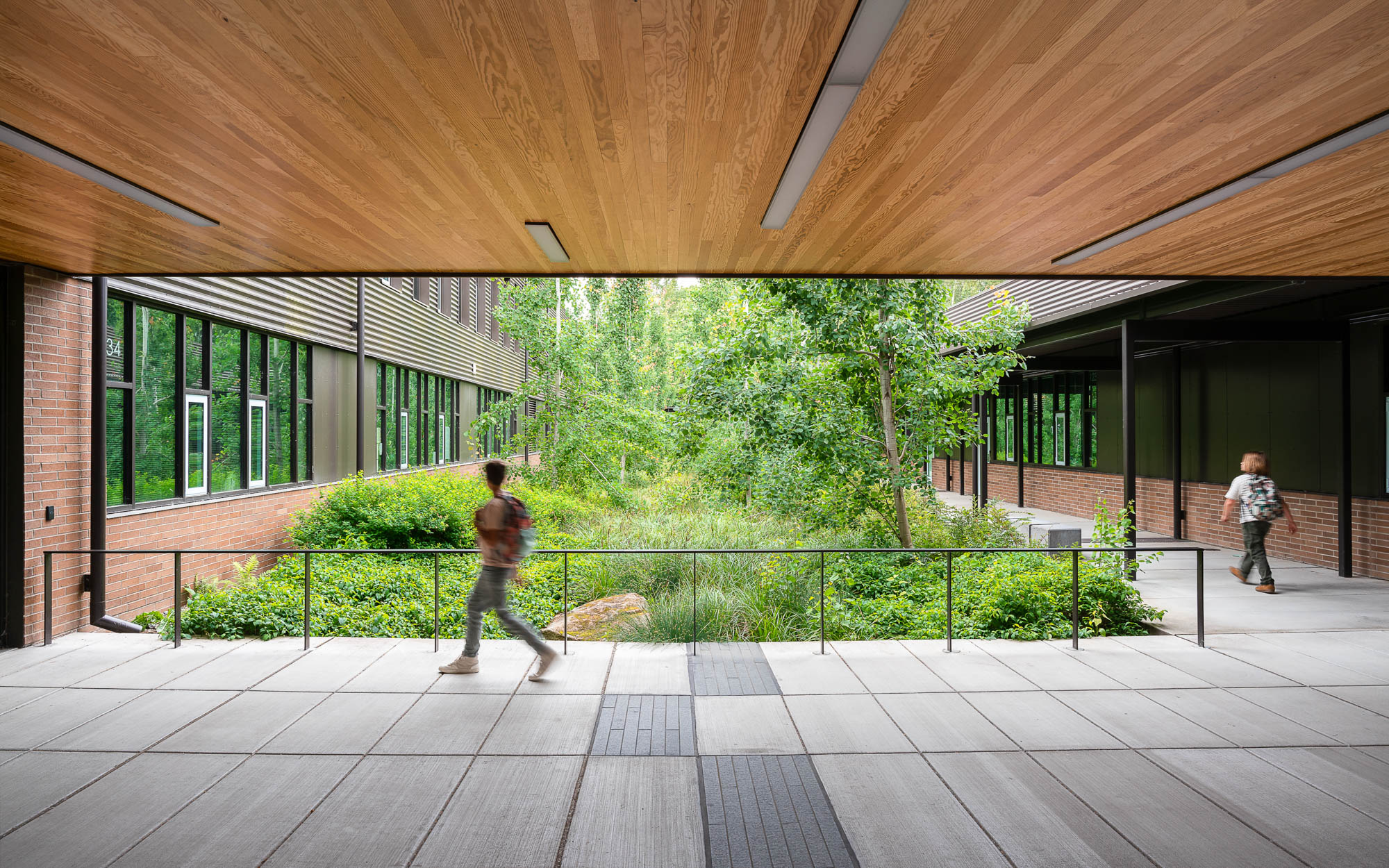 Firgrove Elementary School Fora Landscape Architects