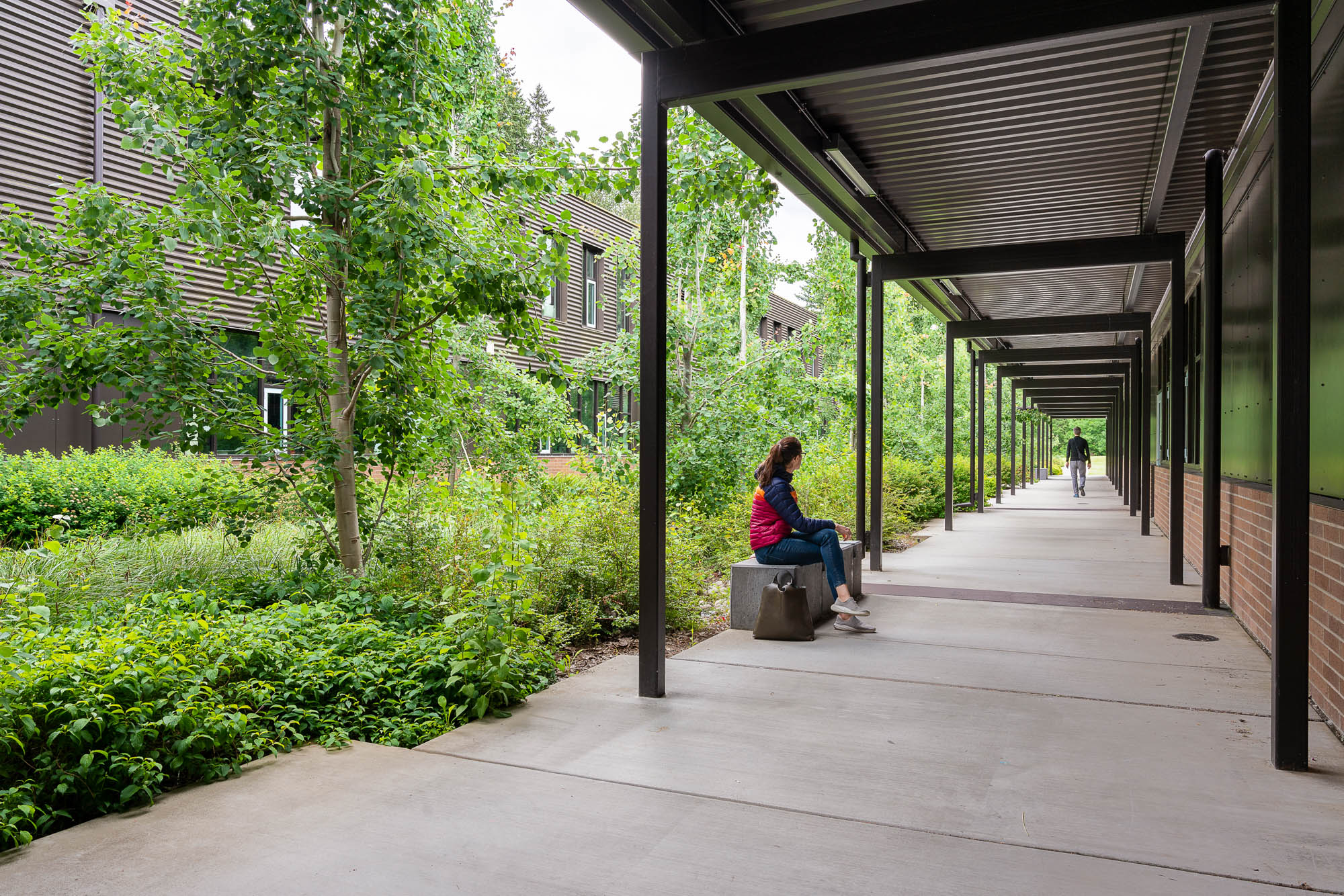 Firgrove Elementary School Fora Landscape Architects