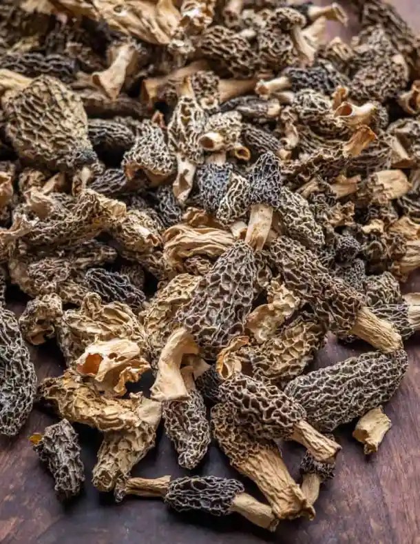 Morels Variety Pack Dried Edition Foraged