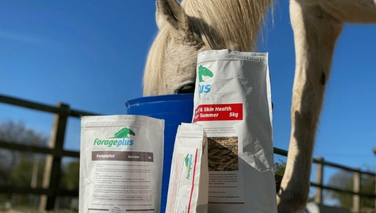 Spirulina For Horses Organic Forageplus Horse Health