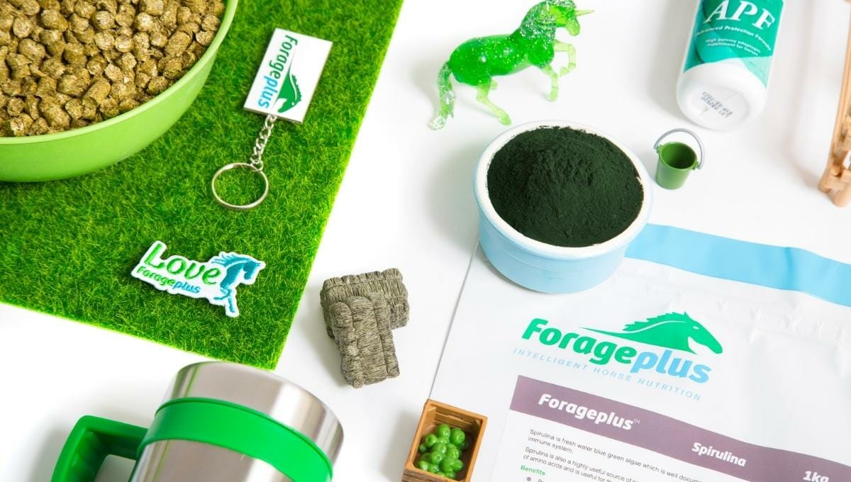 Organic Spirulina For Horses Forageplus Horse Health