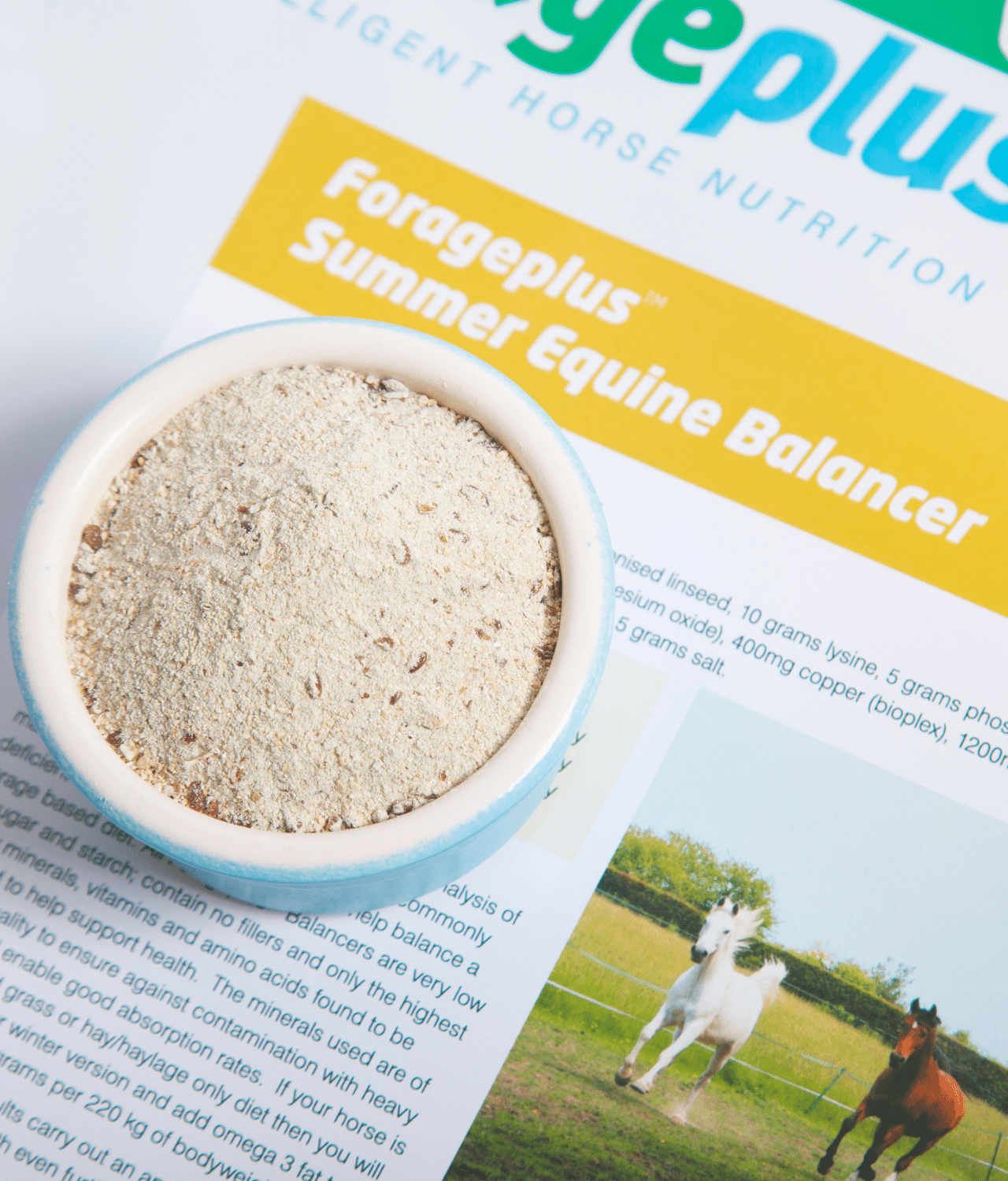 Young Horse Balancer Summer Forageplus