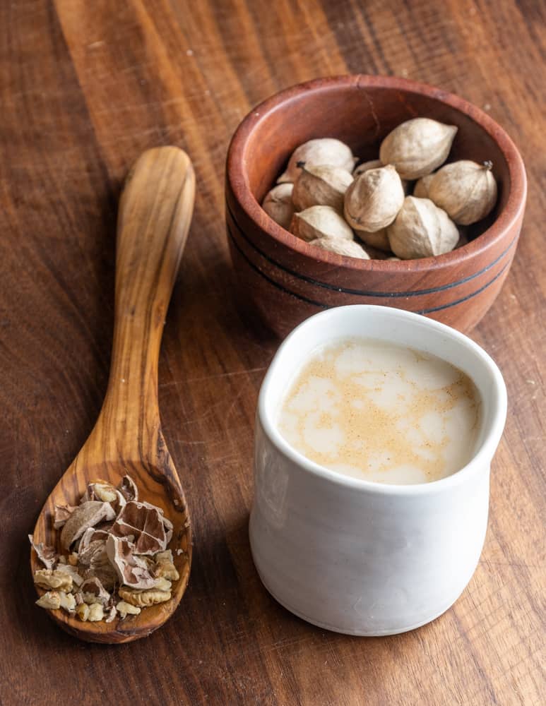 How to Make Hickory Nut Tea FORAGER CHEF