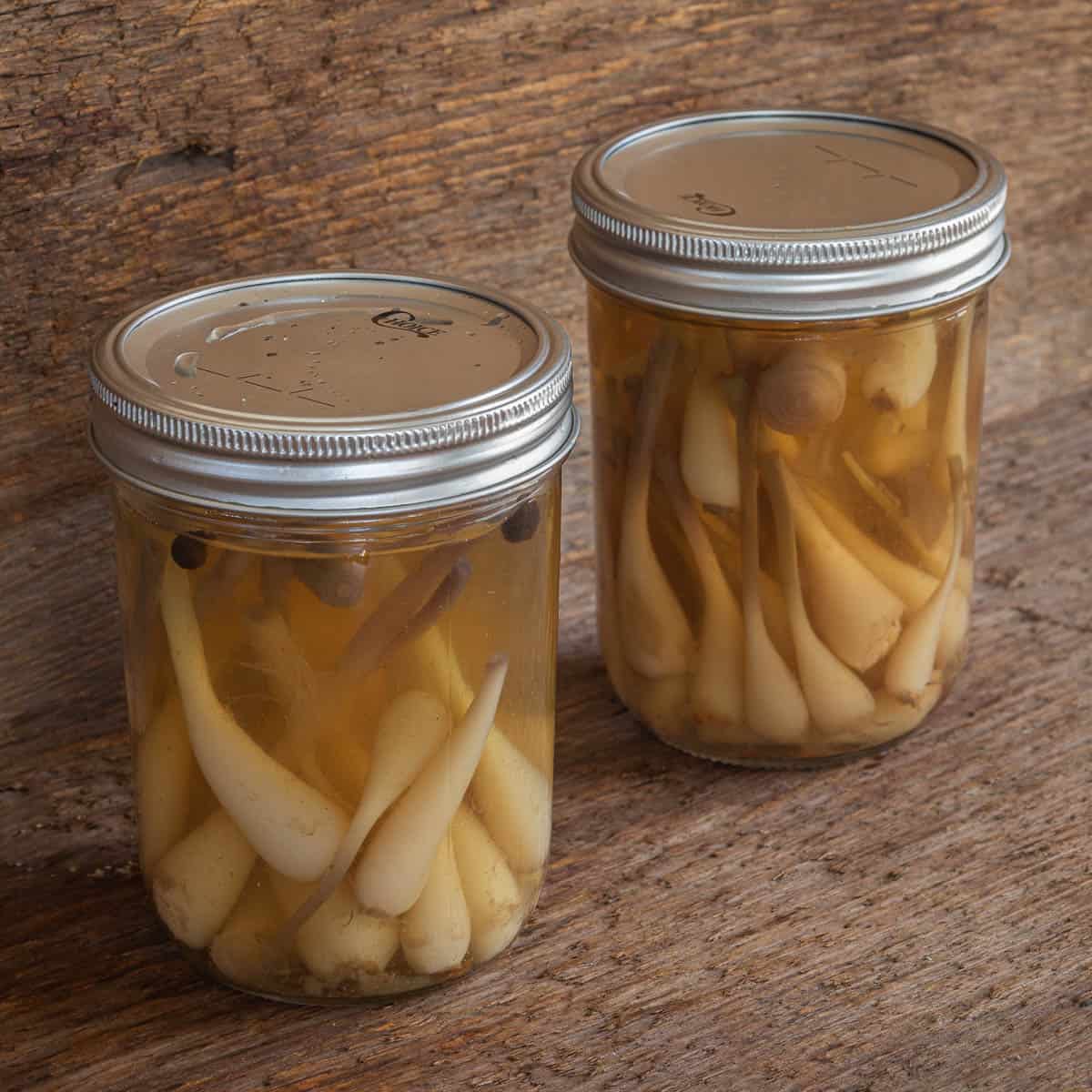 The Best Pickled Ramps Recipe Forager Chef