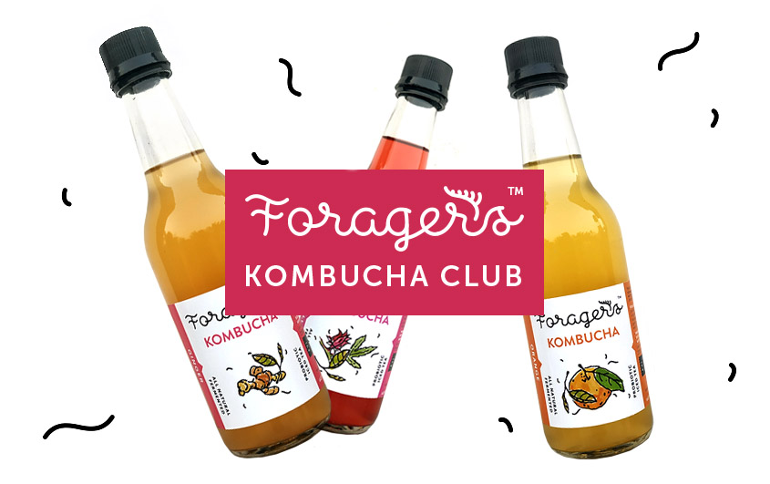 Forager's Kombucha Club