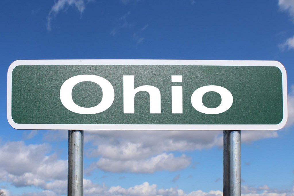 8 Most Common Edible Mushrooms In Ohio ForagingGuru