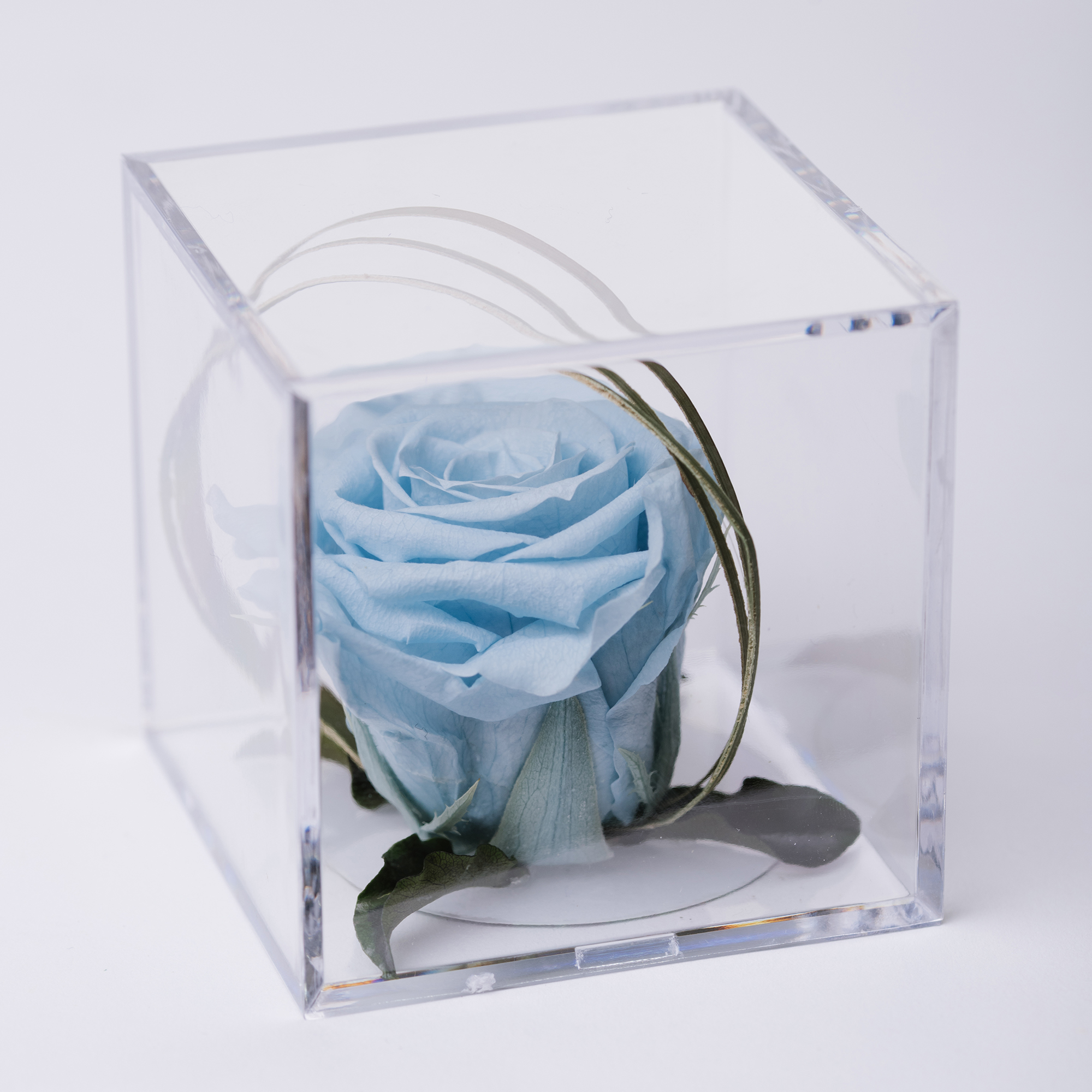 Gift Box Acrylic Small Fora Nature