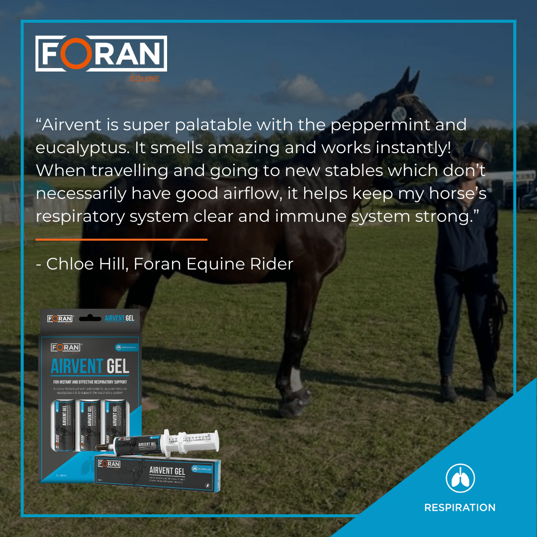 Foran Equine Airvent Gel Best Horse Respiratory Supplement