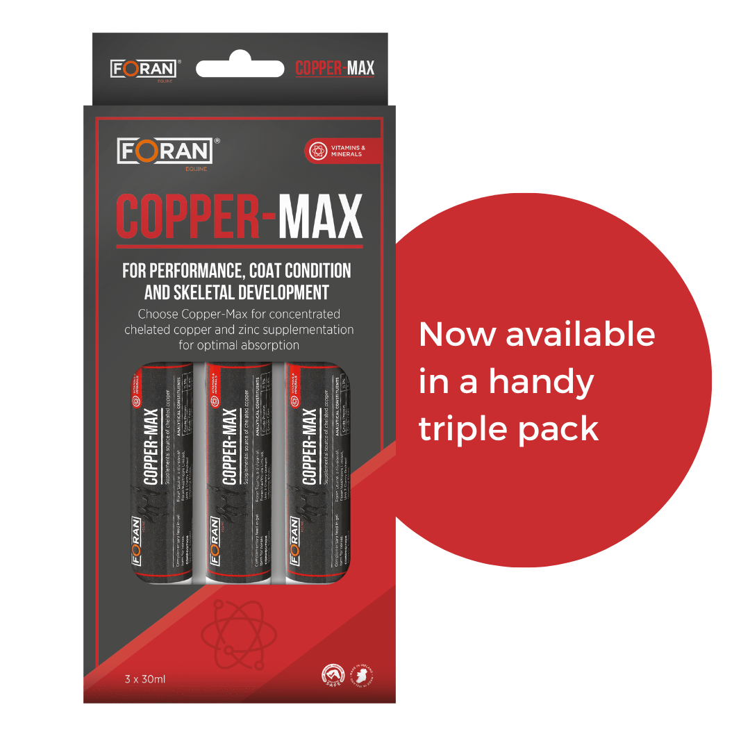 Foran Equine Copper Max Copper & Zinc supplement for horses