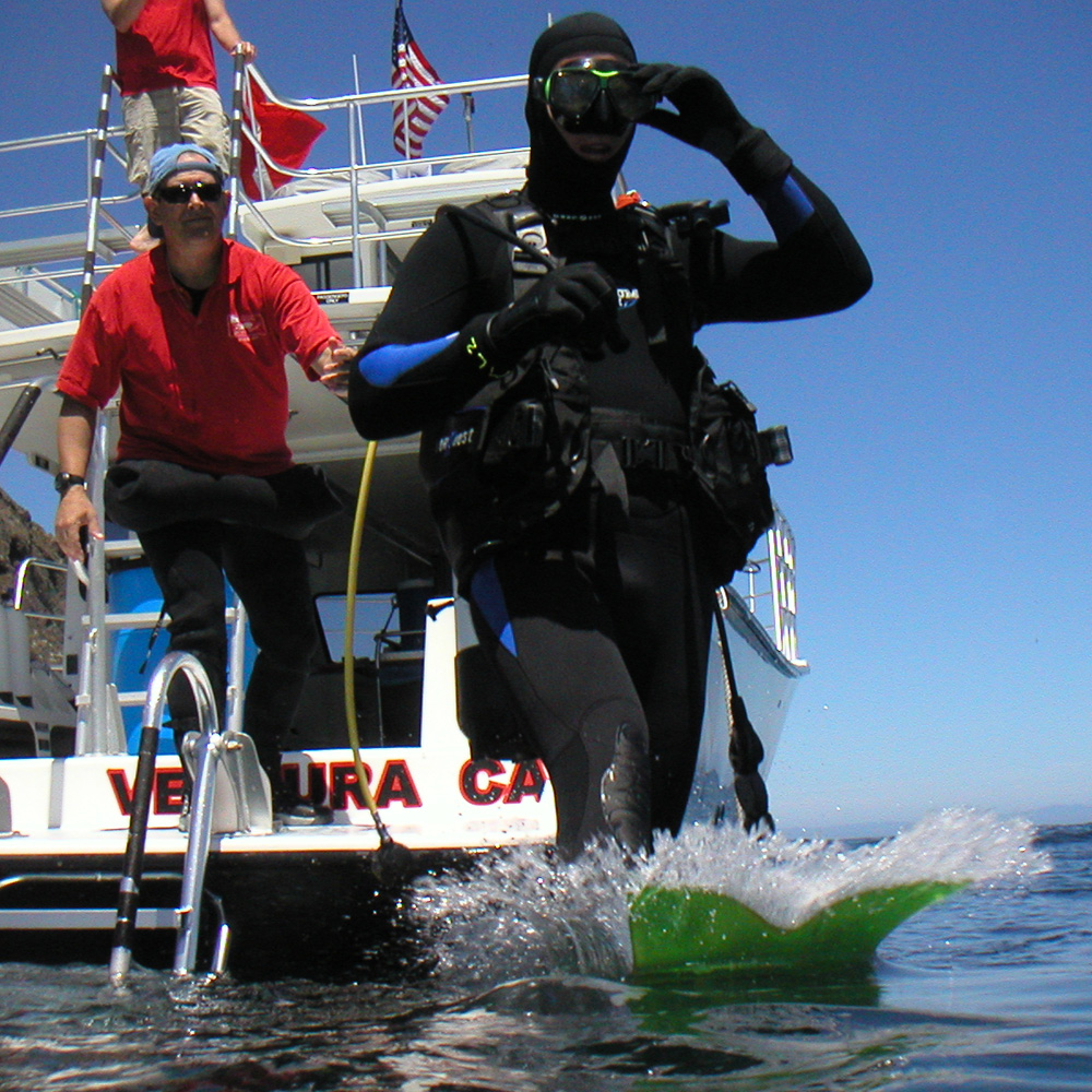 PRO FORCE FIN Force Fins Worlds Finest Fins for Swimming, Diving