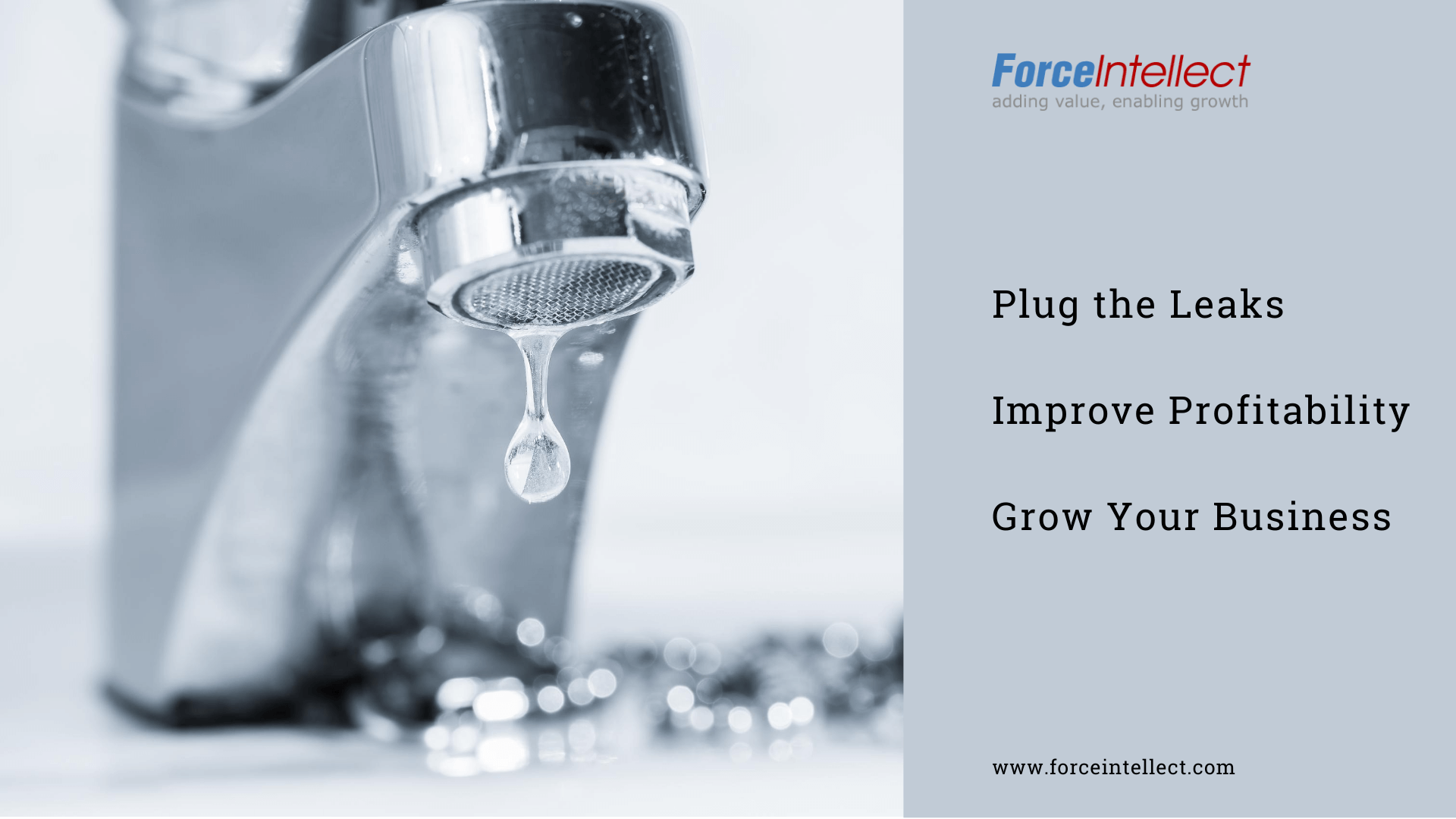 Plug the Leaks, Improve Profitability, Grow Your Business