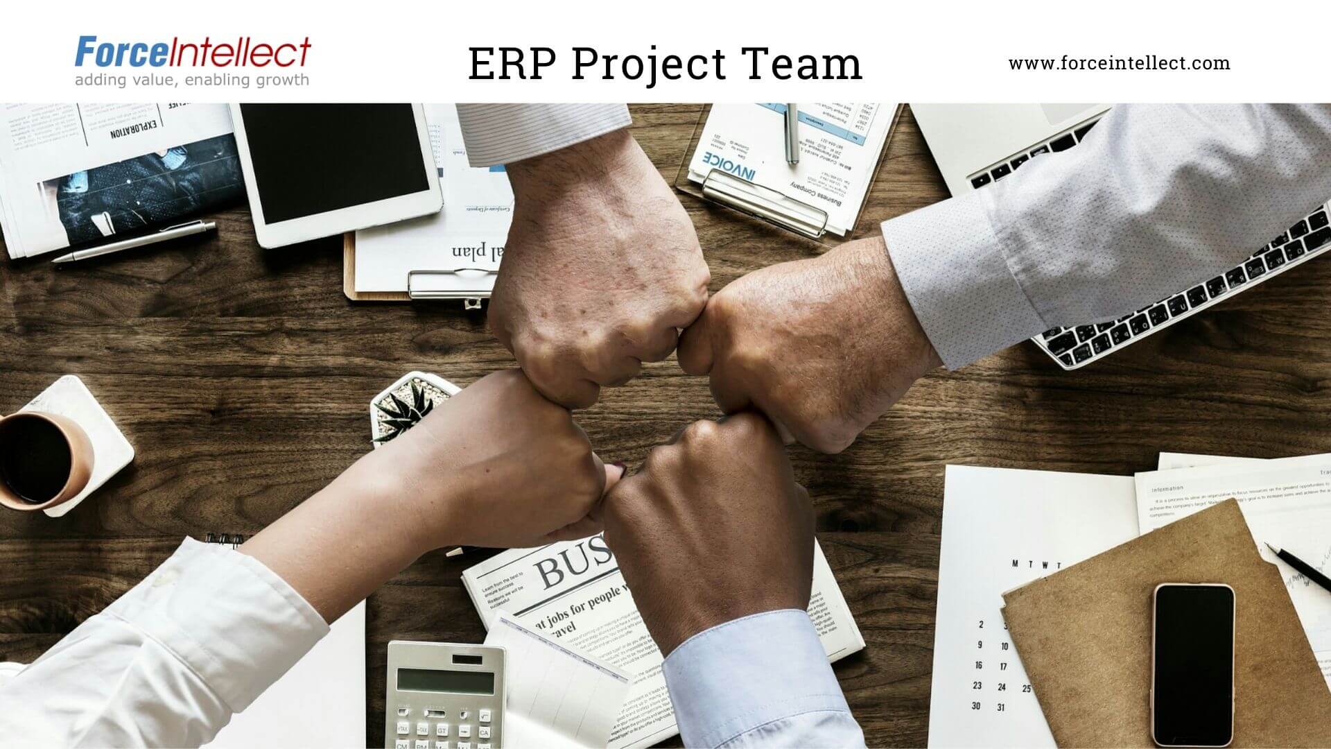ERP Project Team Structure Roles and Responsibilities