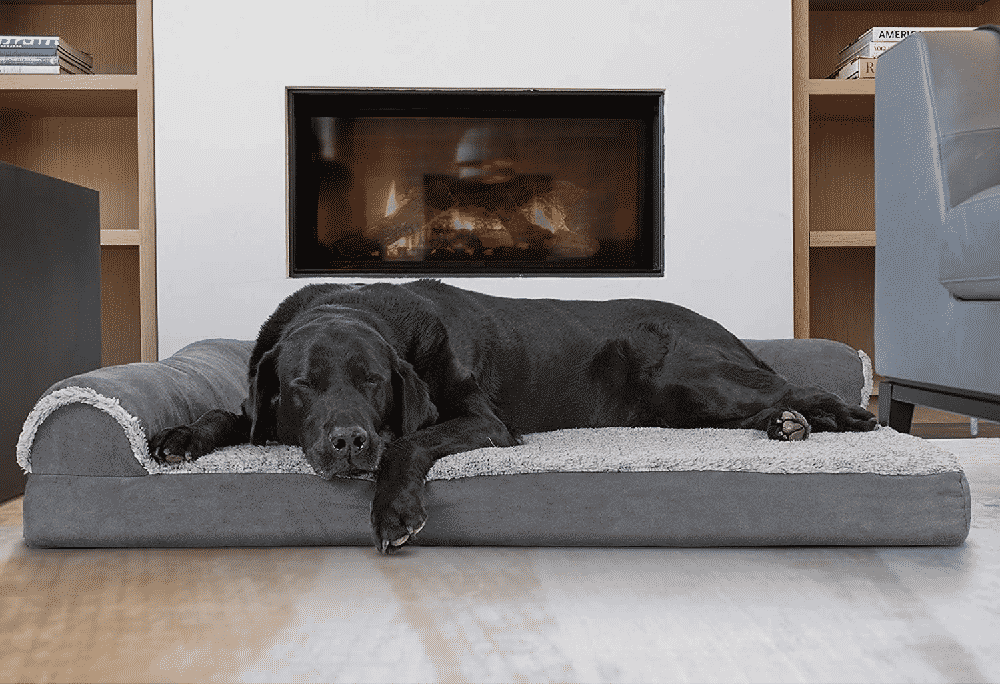 Best Cooling Dog Bed FOR DOGS REVIEWS