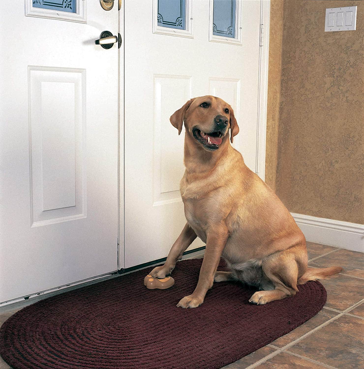 The 10 Best Dog Barking Doorbells You Must Have FOR DOGS