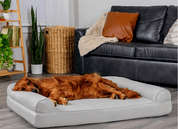How to Choose the Best Leather Bed for Your Dog FOR DOGS REVIEWS