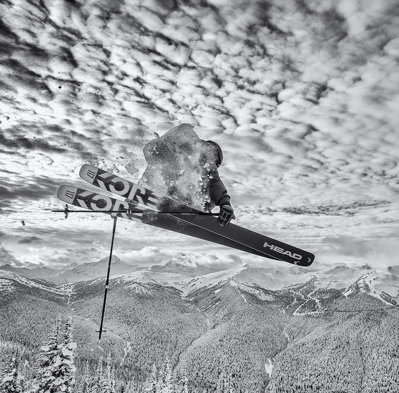 INQUIRY IAN MORRISON Forecast Ski