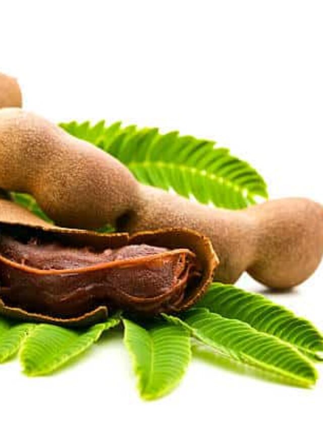 What Tamarind Tastes Like and Used In The Kitchen The Foreign Fork