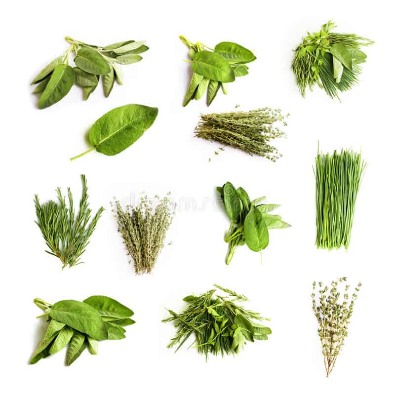 Substitute for Italian Herbs 8 Ideas! The Foreign Fork