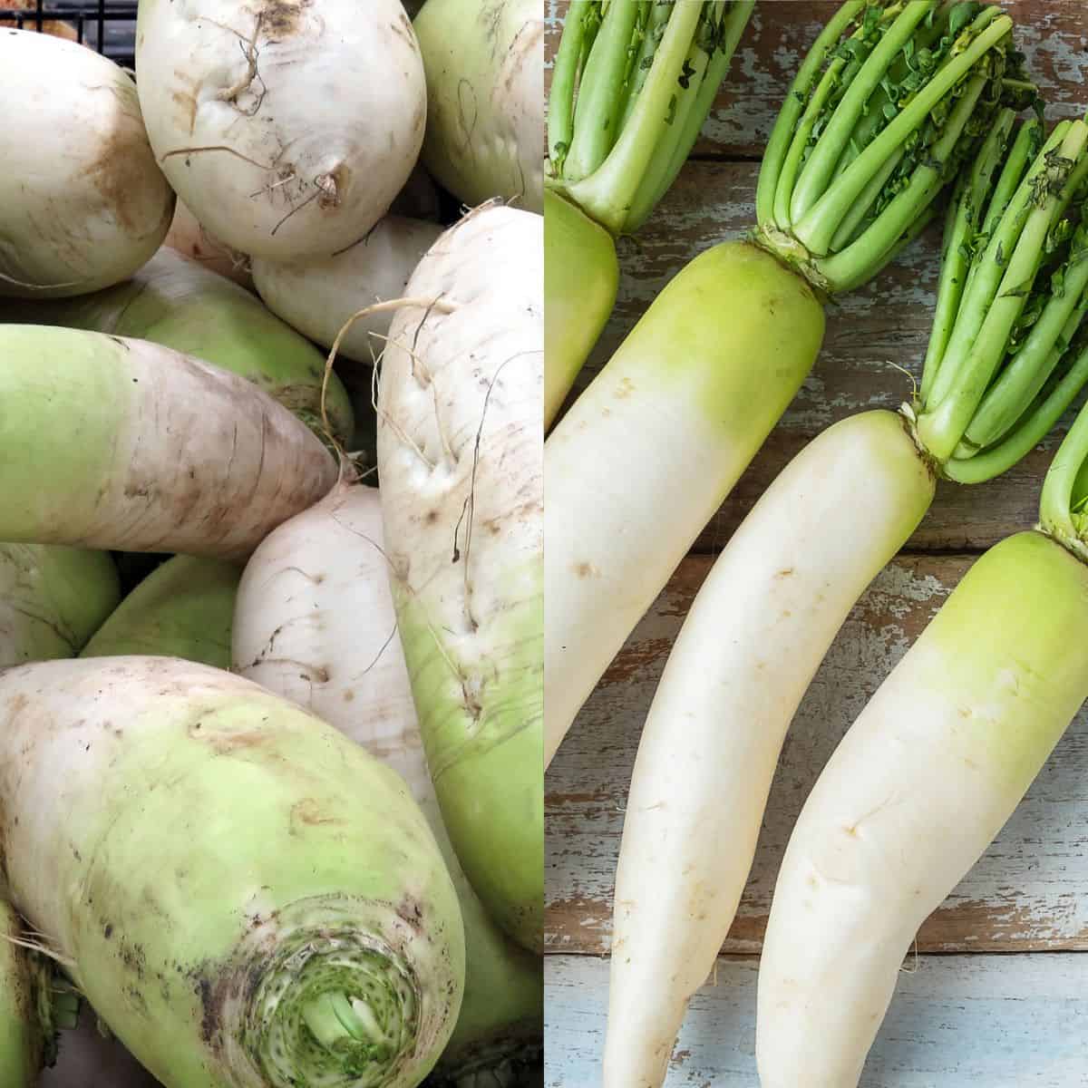 Korean Radish vs Daikon The Foreign Fork