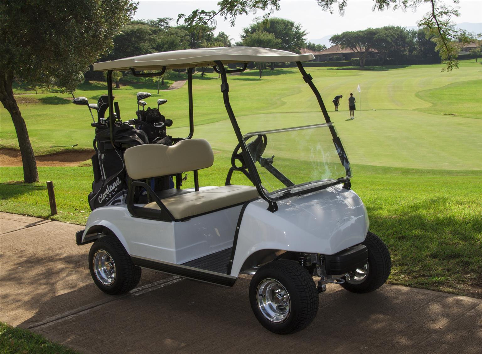 Ride On Electric Golf Push Carts