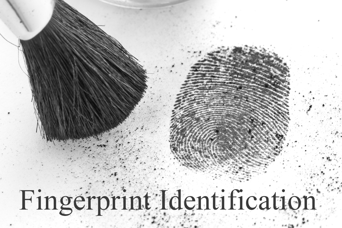 Fingerprint Identification Forensic Assurance