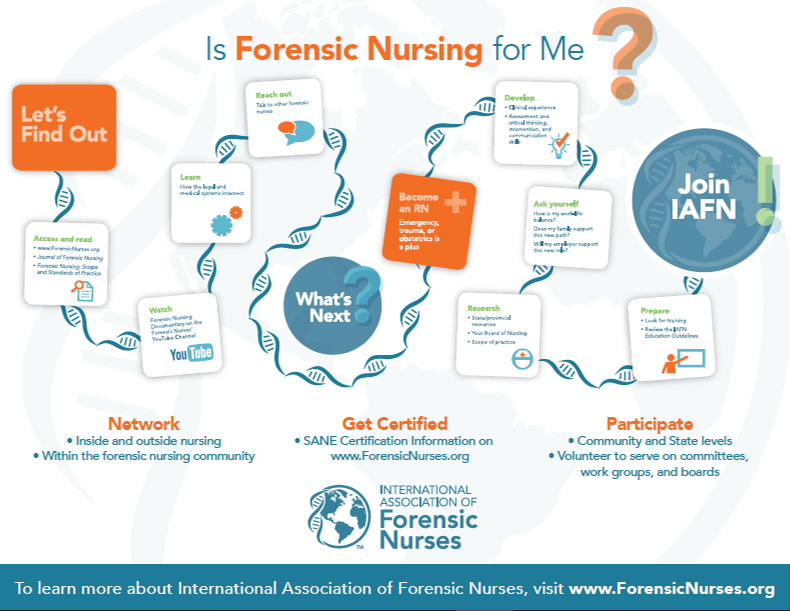 Forensic Nursing Path International Association of Forensic Nurses