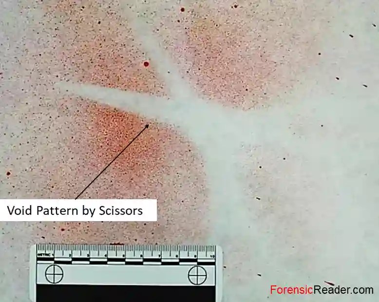 Bloodstain Pattern Analysis Forensic Types Classification, 59 OFF