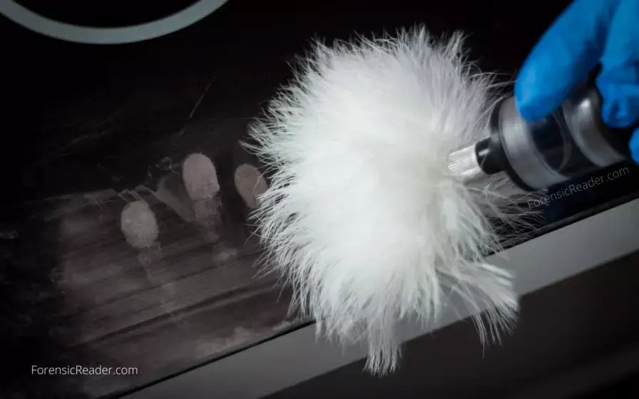 Fingerprint Brushes Types And How to Choose One? A Forensic Guide