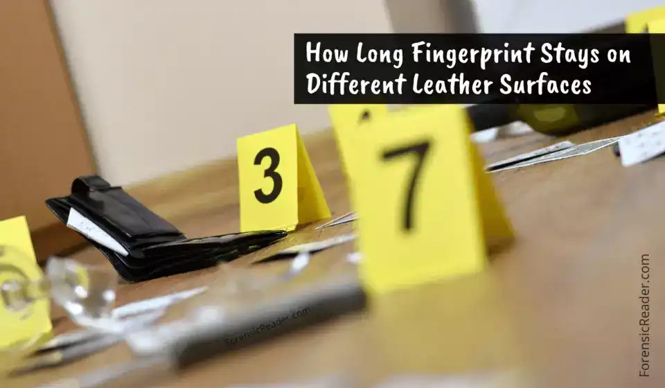 Can You Get Fingerprint From Leather Surface? [Forensic Expert Answer]
