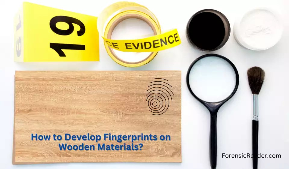 Fingerprints on Woods How Long It Stay? & Development