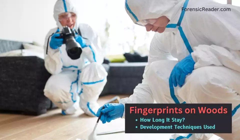 Fingerprints on Woods How Long It Stay? & Development