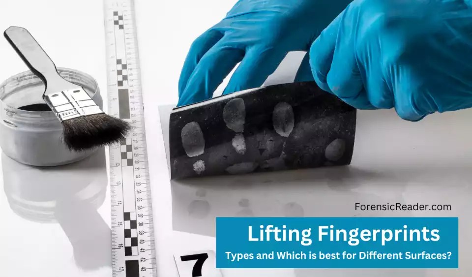Lifting Fingerprints [Types and Best Lifters for Surfaces]