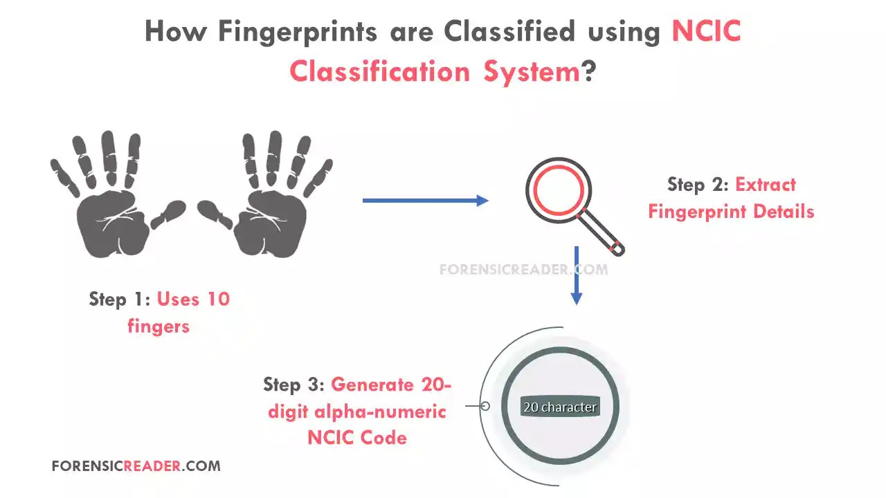 NCIC Fingerprint Classification [How to Calculate Values?]