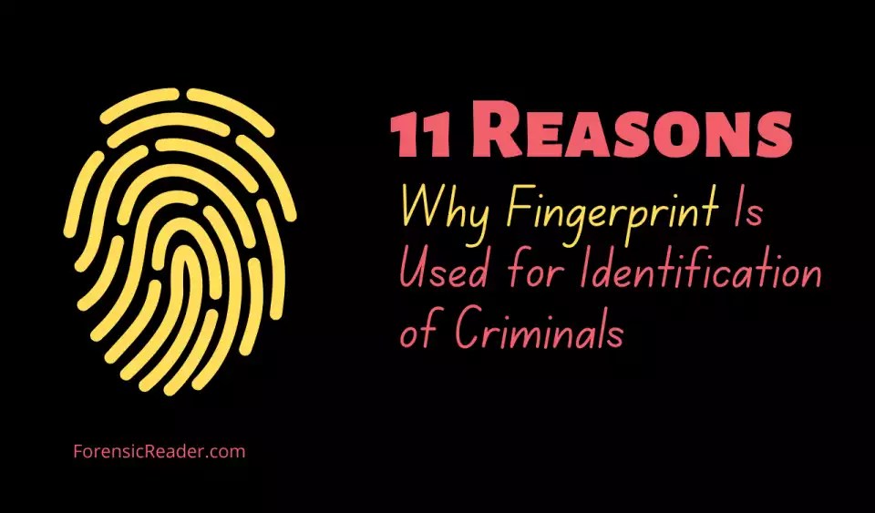 11 Reasons Why Fingerprints Used for Identification in Forensics
