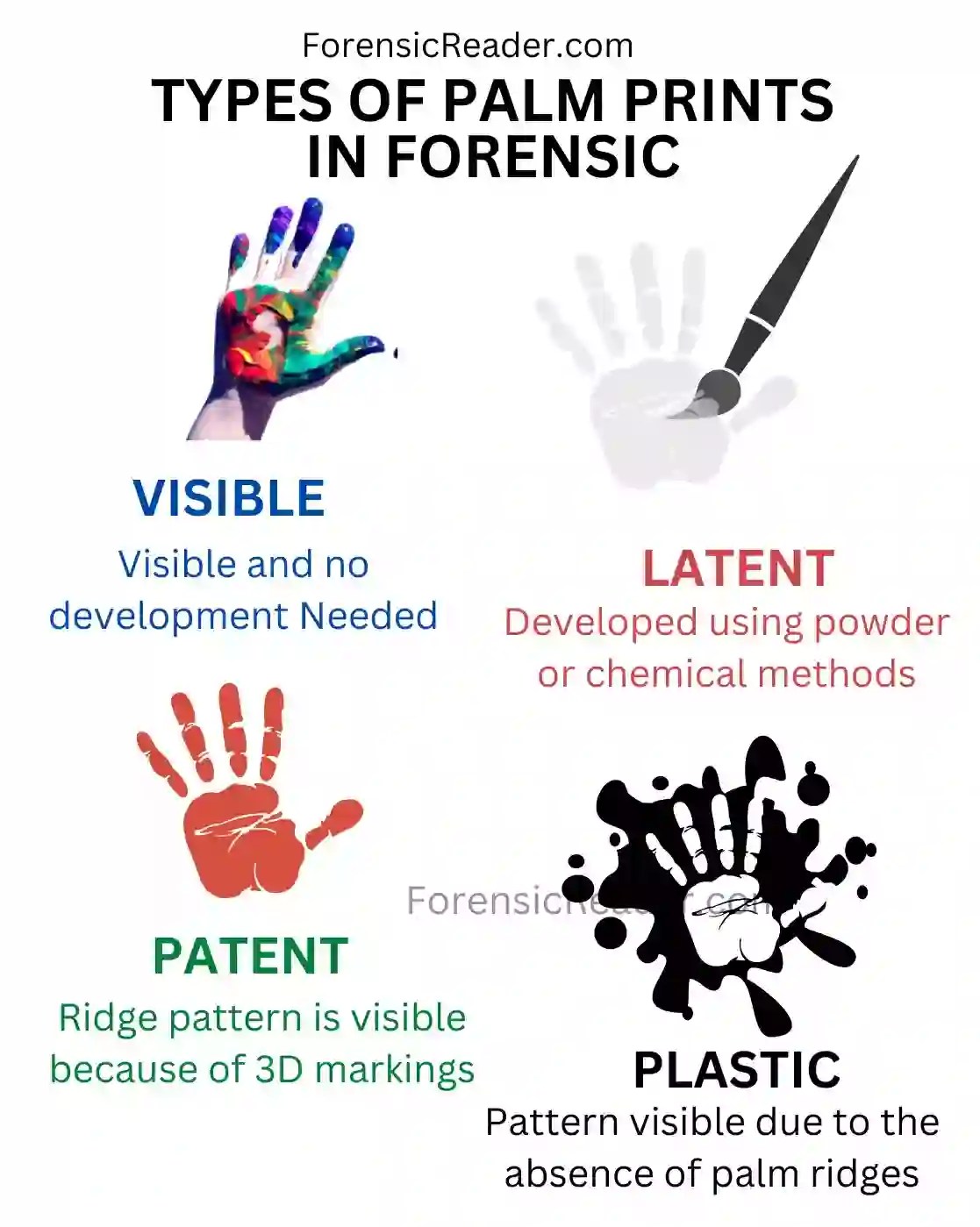 Palm Print in Forensics Types, Importance, Classification, Reliability