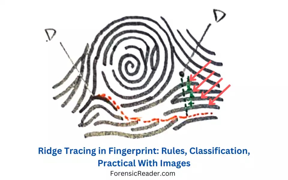 Fingerprint and Other Impressions Archives Forensic Reader