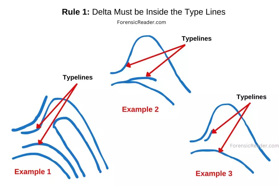 15+ Rules for Choosing Core and Delta in Loop Fingerprint Patterns