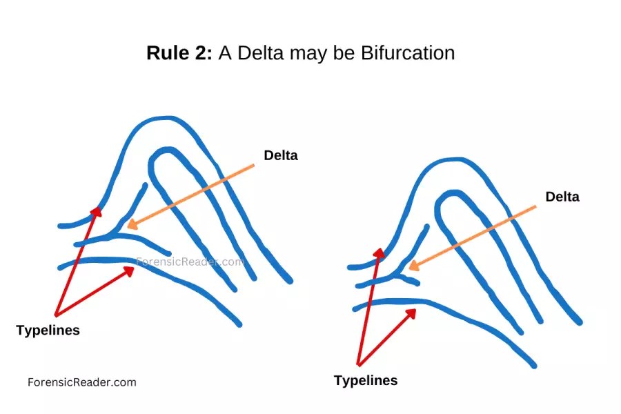 15+ Rules for Choosing Core and Delta in Loop Fingerprint Patterns