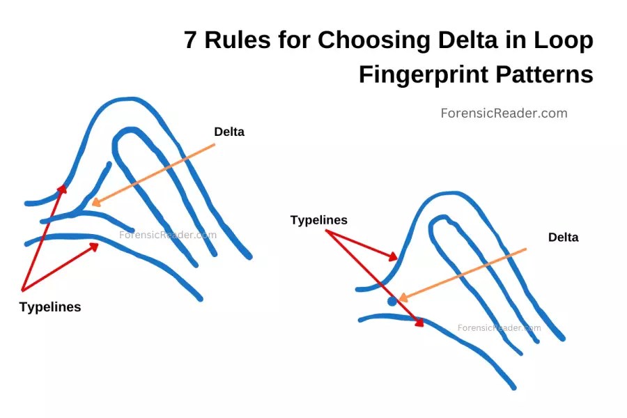 Loop Fingerprint Pattern 5 Rules and 4 Types With Images