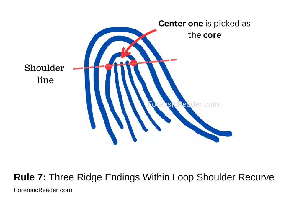 15+ Rules for Choosing Core and Delta in Loop Fingerprint Patterns