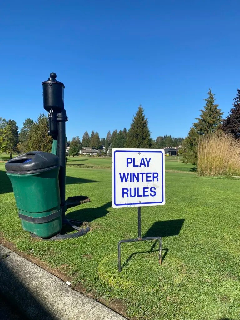 What Are Winter Rules In Golf? Fore Putt Golf