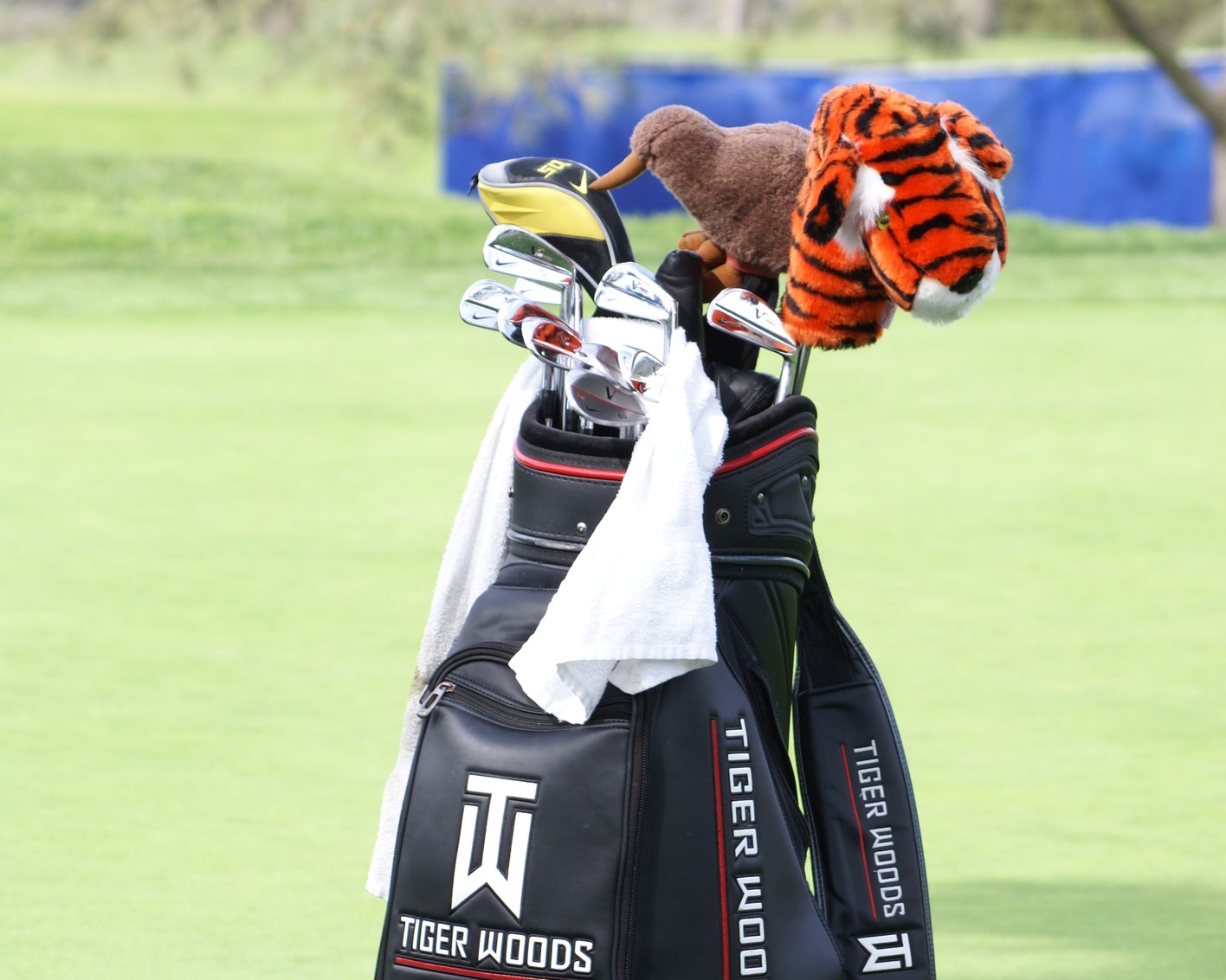 How Many Clubs In A Golf Bag? Fore Putt Golf