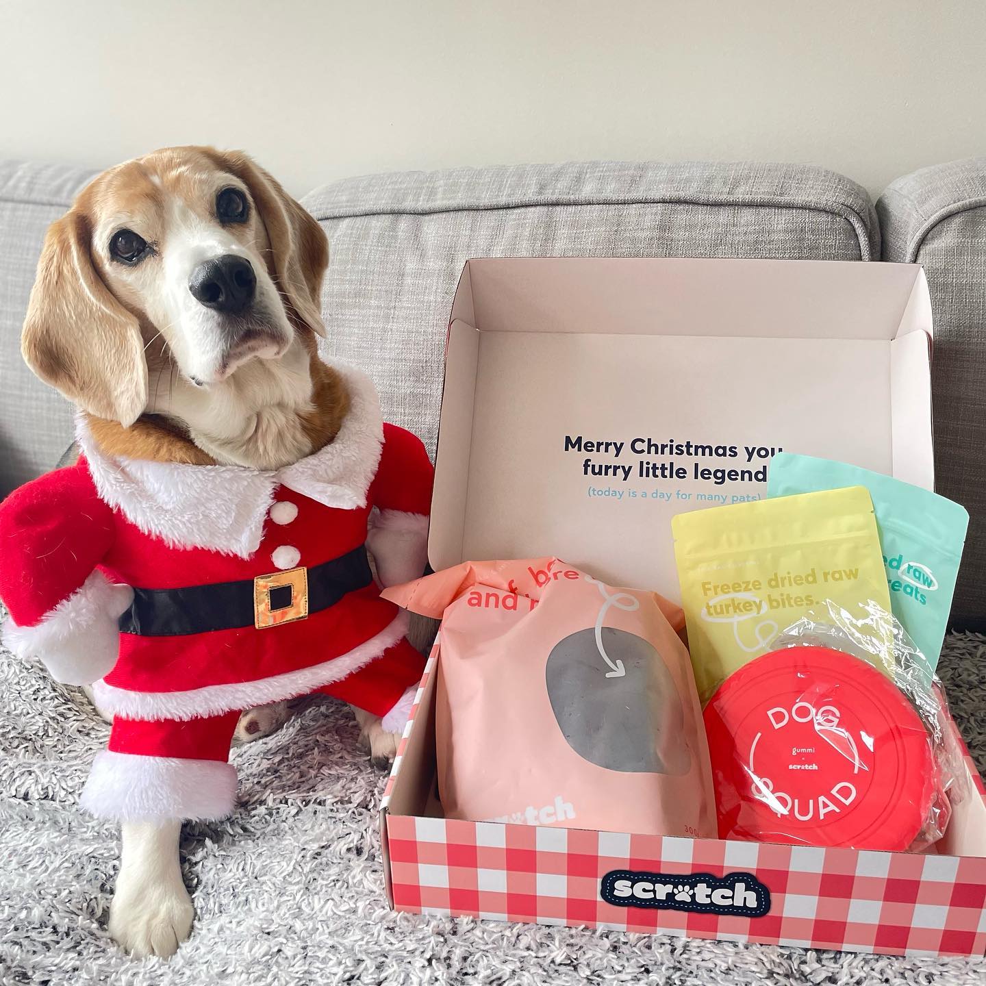 Scratch Pet Food, Sustainable Brands Foresighted Community