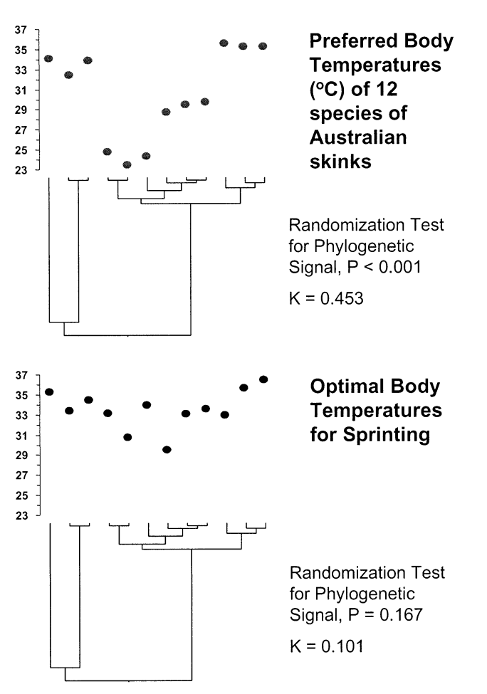 diversity, functional diversity, and traitbased approaches