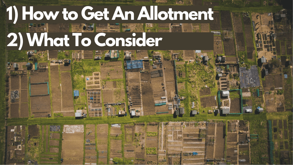 Allotment Ideas For Beginners The Ultimate Guide. Forest Master