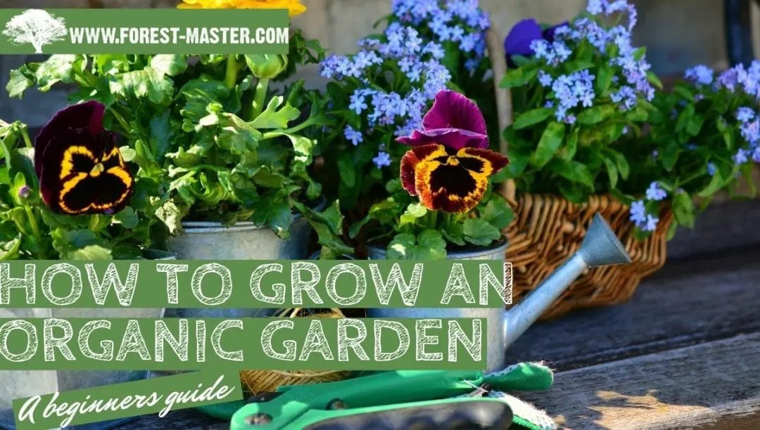 Organic Gardening Tips, Tricks, And Techniques Forest Master