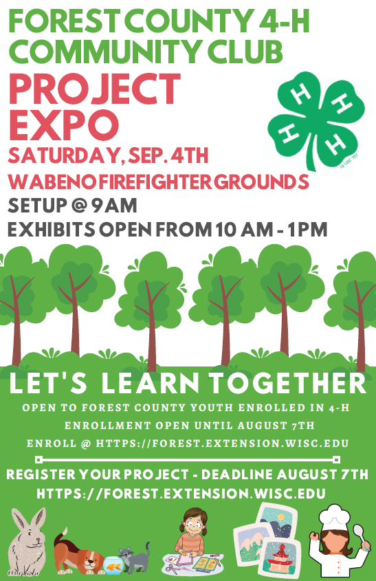 4H Project Expo Extension Forest County