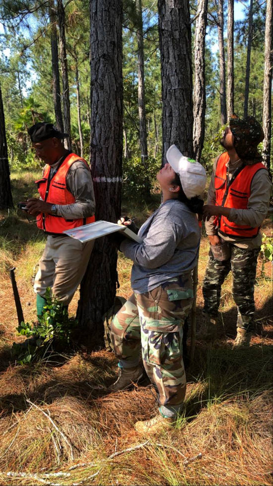 Monitoring, Reporting and Verification Forest Department of Belize