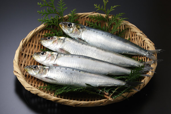 イワシ 魚 画像 無料写真素材 フリー「花ざかりの森」