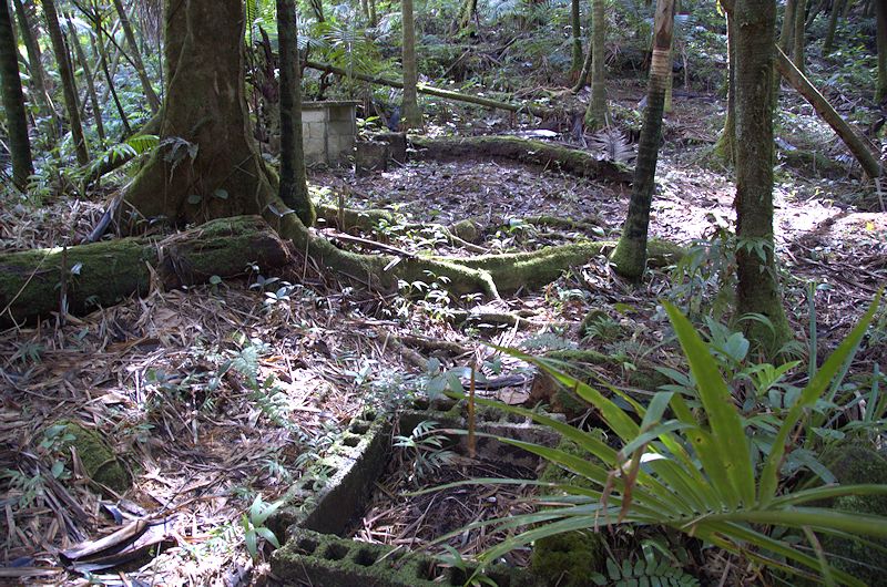 El Yunque National Forest Campgrounds